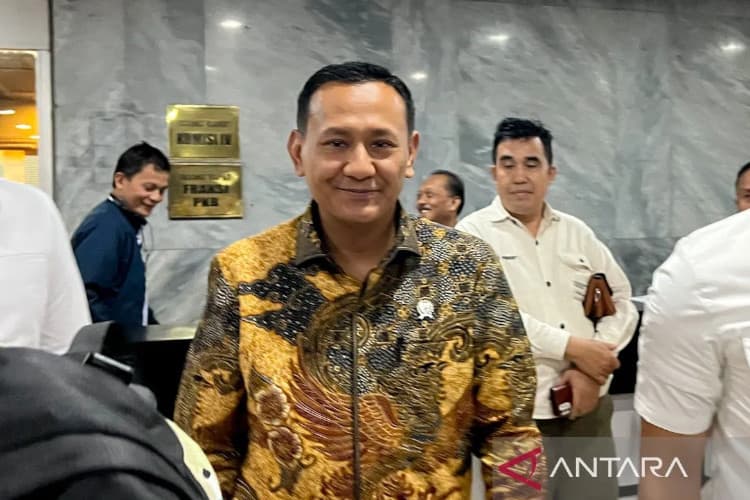 Wamenhut Beberkan Data Sawit di Hutan: Terdeteksi Hampir 4 Juta Hektare, Kerusakan Ekosistem Mengancam