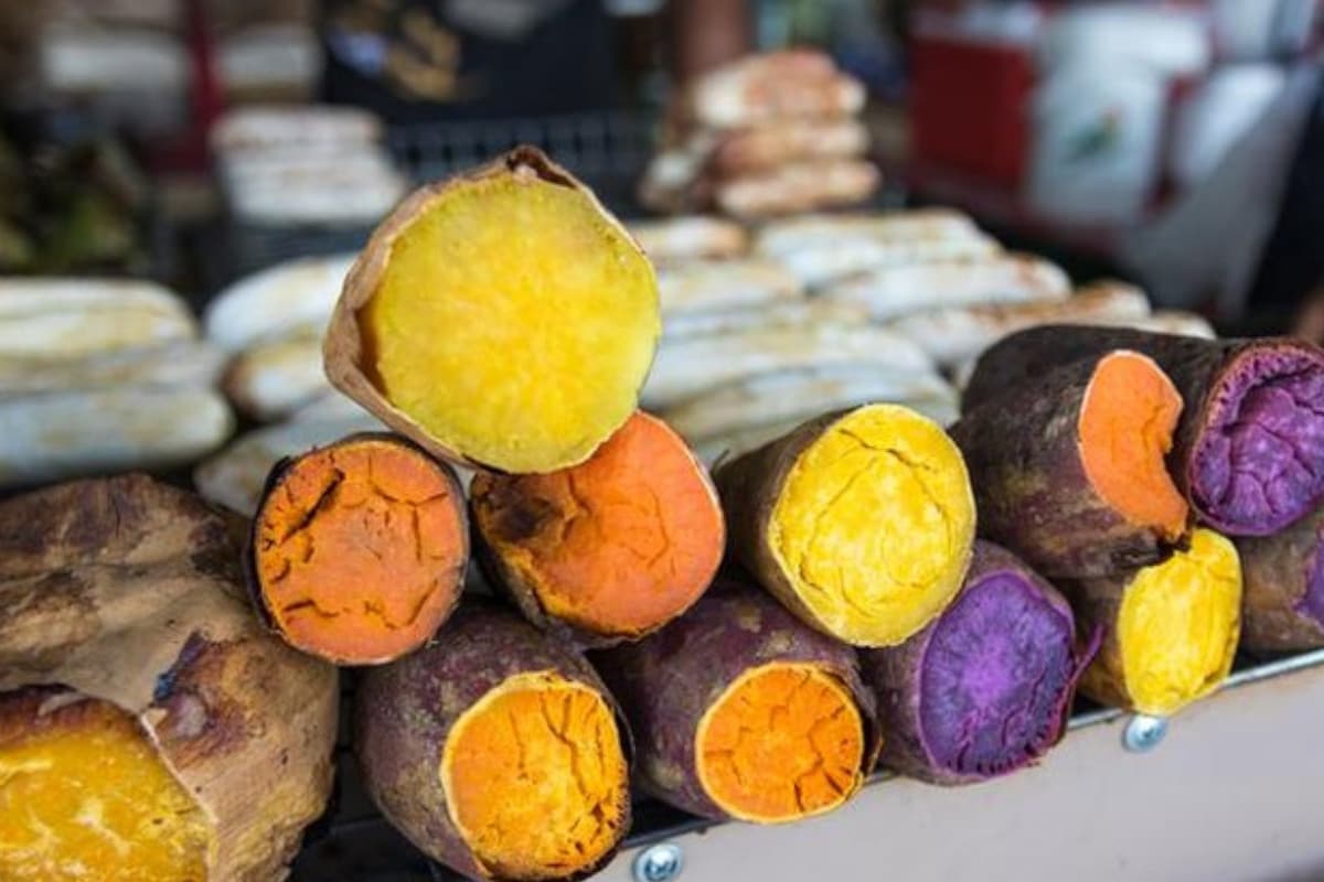 Mengupas Warna Warni Ubi dan Manfaatnya